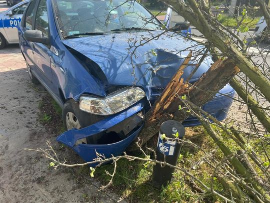 Auto po uderzeniu w drzewo