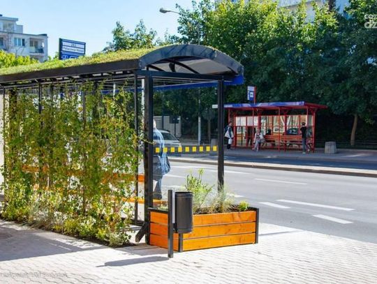 Zielone przystanki autobusowe w Ciechanowie