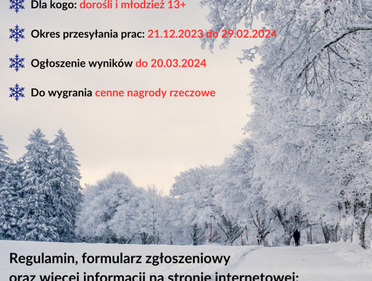 "Zimowy krajobraz miasta i gminy Sochocin" - konkurs fotograficzny 