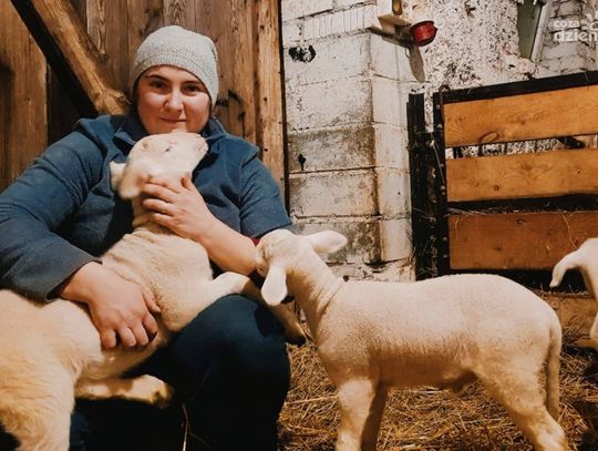 Znasz Magdalenę Lewandowską i Jej owcze sery... spod Płońska?