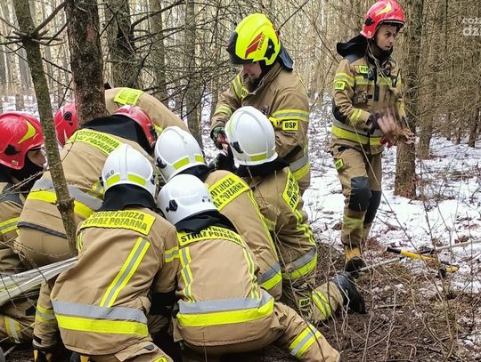 Zwierzę w niebezpieczeństwie! Pomogli ochotnicy z Ościsłowa