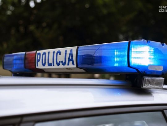 Zwłoki 4,5 latka w lesie. Ślad zaprowadził policję w okolice Ciechanowa 