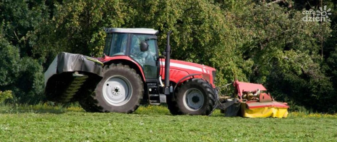 60 tys. zł na restrukturyzację małego gospodarstwa – ruszył nabór wniosków