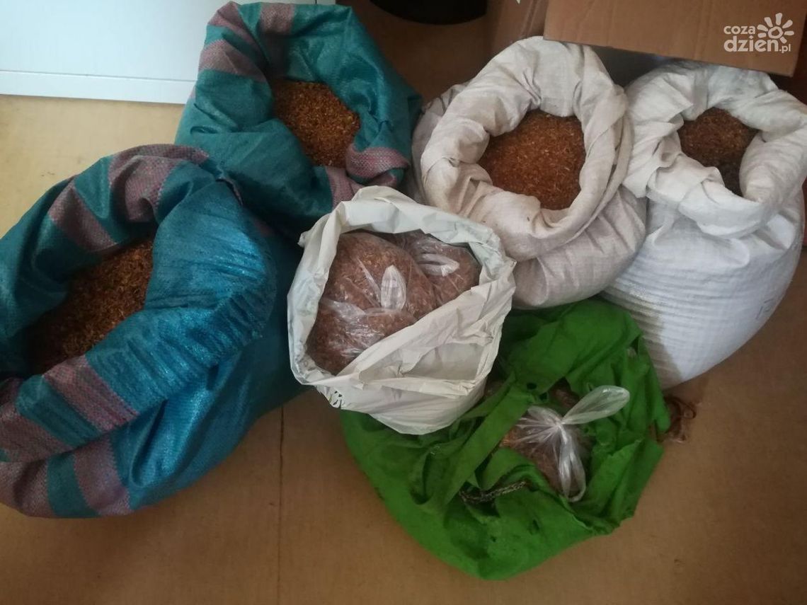 68-latek w piwnicy trzymał krajankę tytoniową i nielegalne papierosy