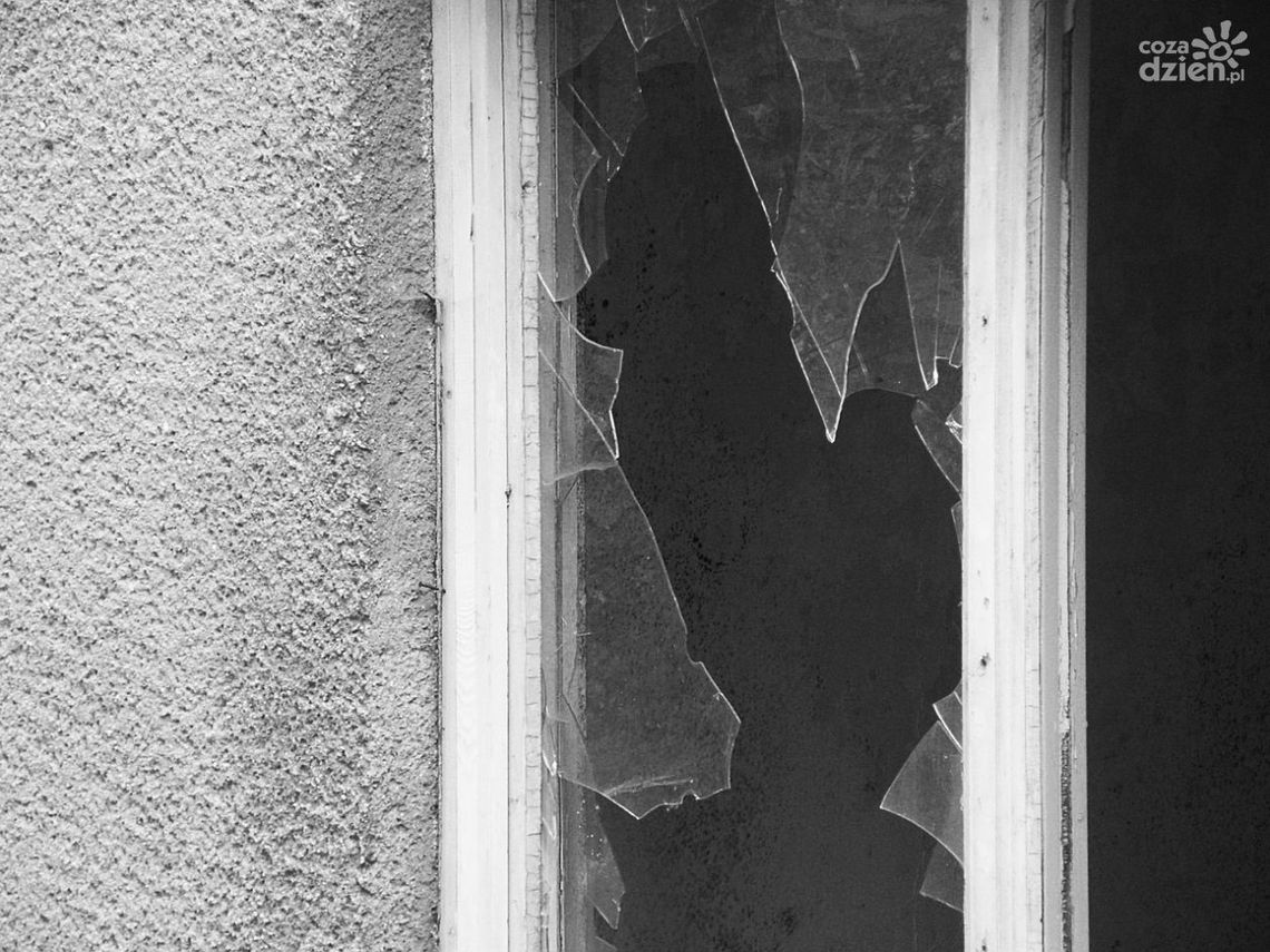 Akcja jak z filmu: strażak pomógł schwytać wandala w gminie Dzierzążnia