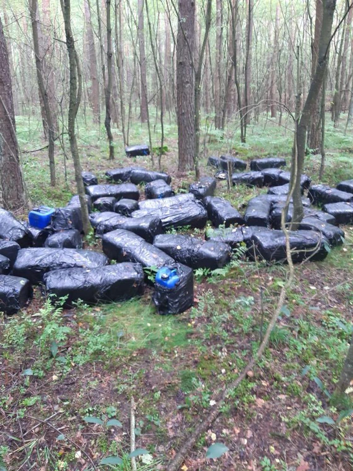 Porzucone pojemniki w lesie w gminie Jednorożec, zabezpieczone przez policję.