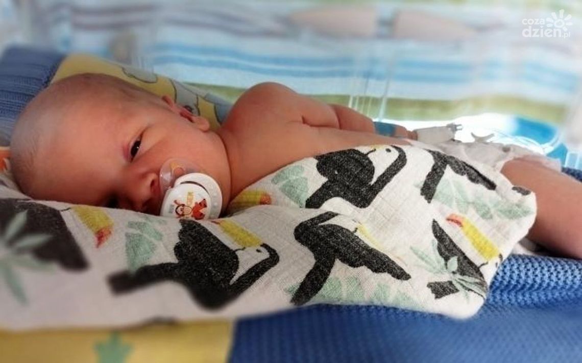Antoś potrzebuje naszej pomocy! Trwa zbiórka pieniędzy dla chłopczyka z gminy Gołymin-Ośrodek
