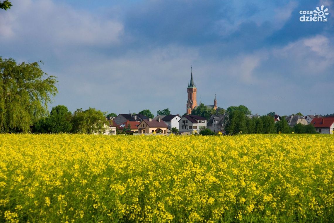 Baboszewianie chcą być mieszczanami. Ponad 60% mieszkańców gminy jest za uzyskaniem praw miejskich