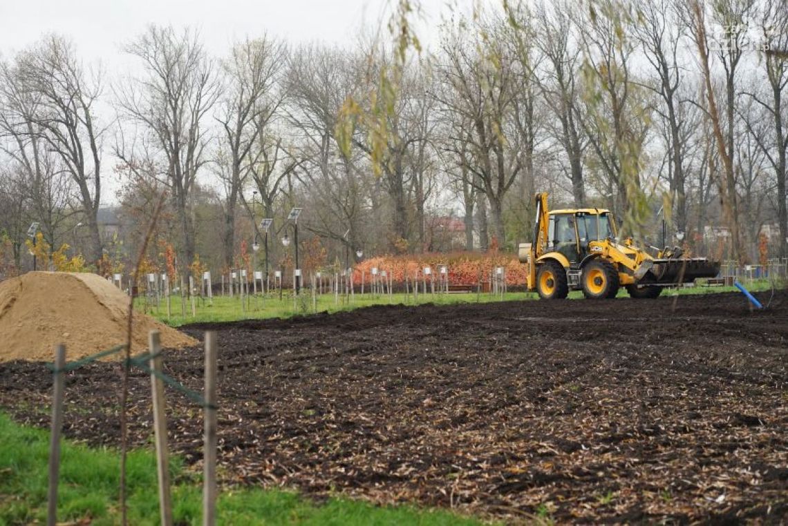 Będą zioła, warzywa i winorośle. W parku przy Augustiańskiej w Ciechanowie powstaje ogród