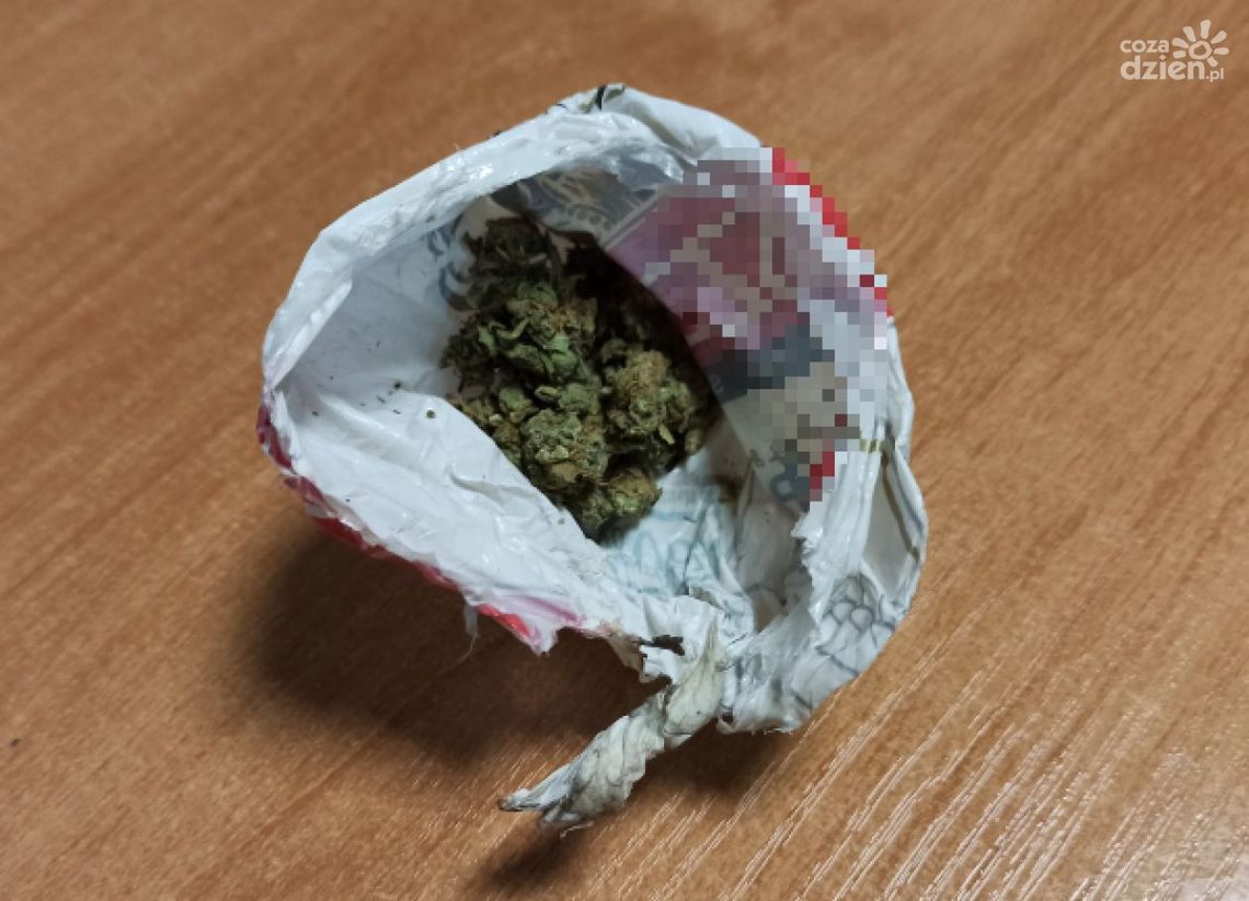 Bez prawka i badań technicznych ale z narkotykami Bez prawka i badań technicznych ale z narkotykami