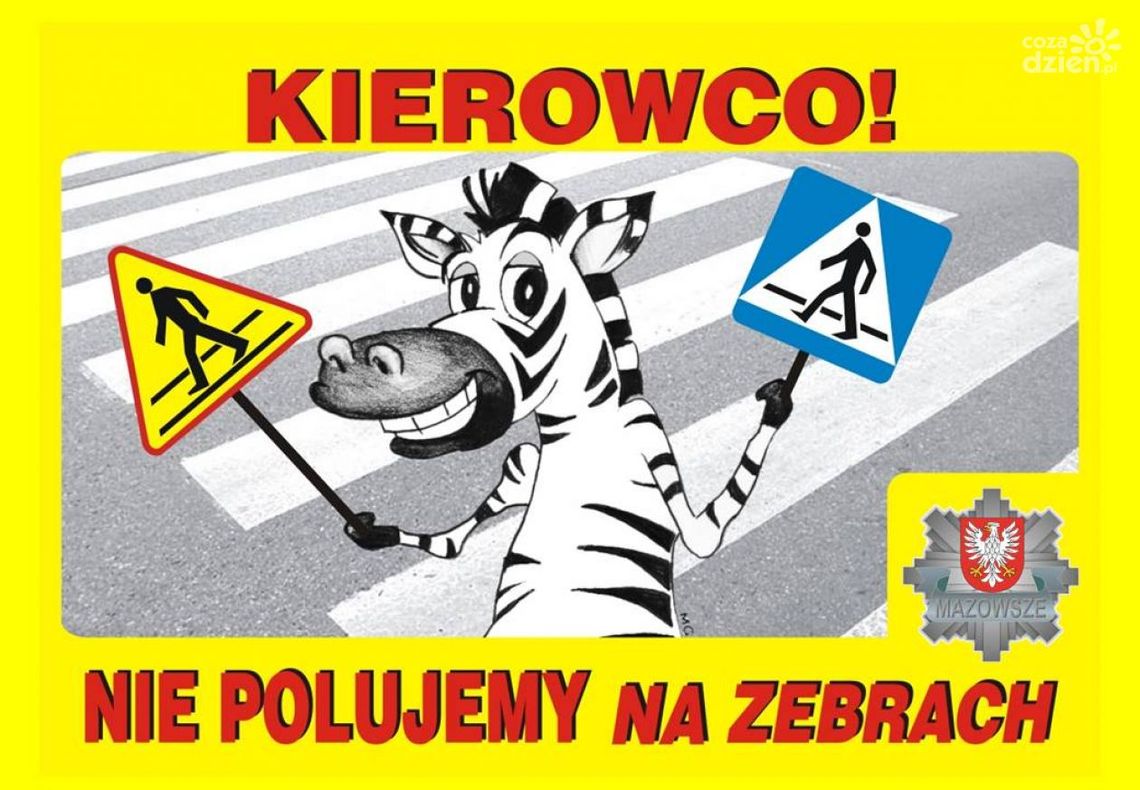 Bezpieczeństwo na drodze: Międzynarodowy Dzień Zebry