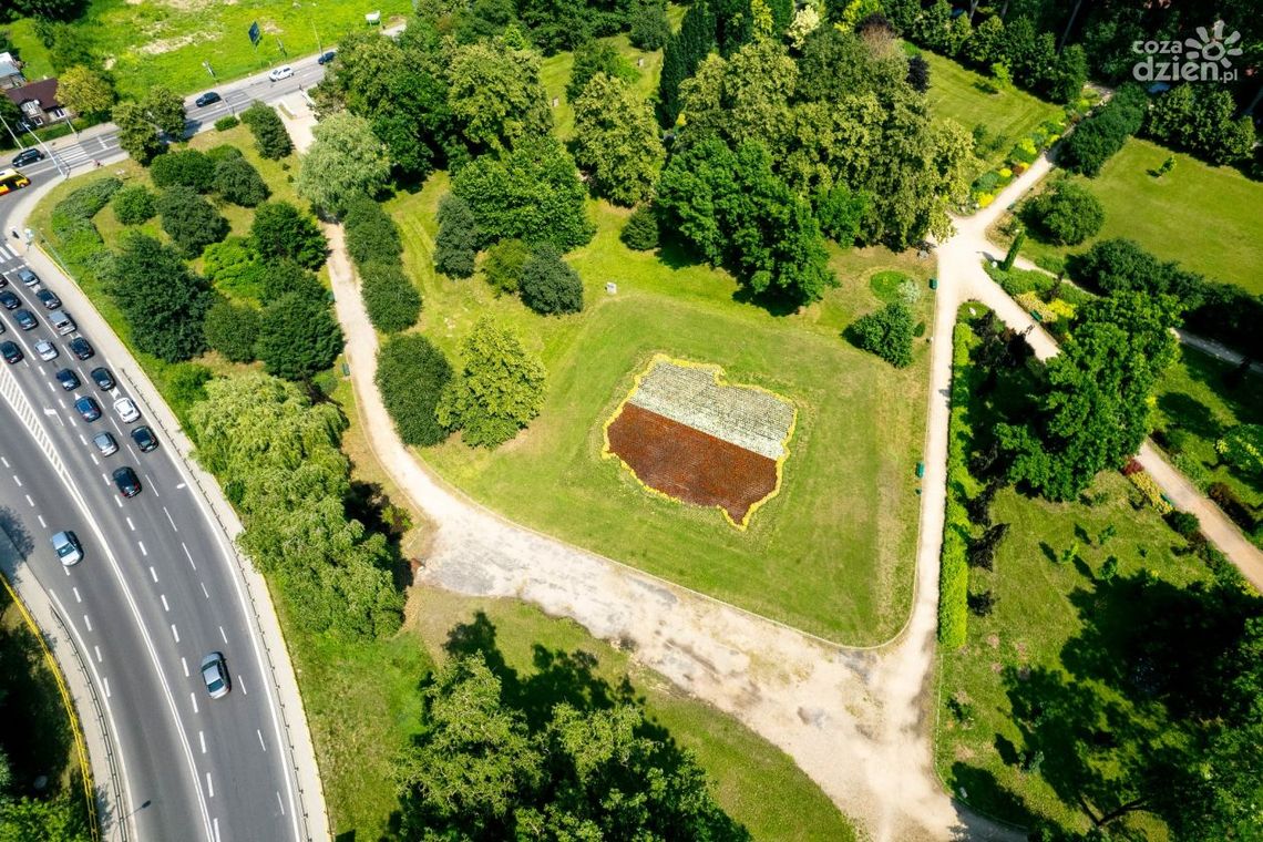 Biało-czerwona w parku Marii Konopnickiej w Ciechanowie (zdjęcia)