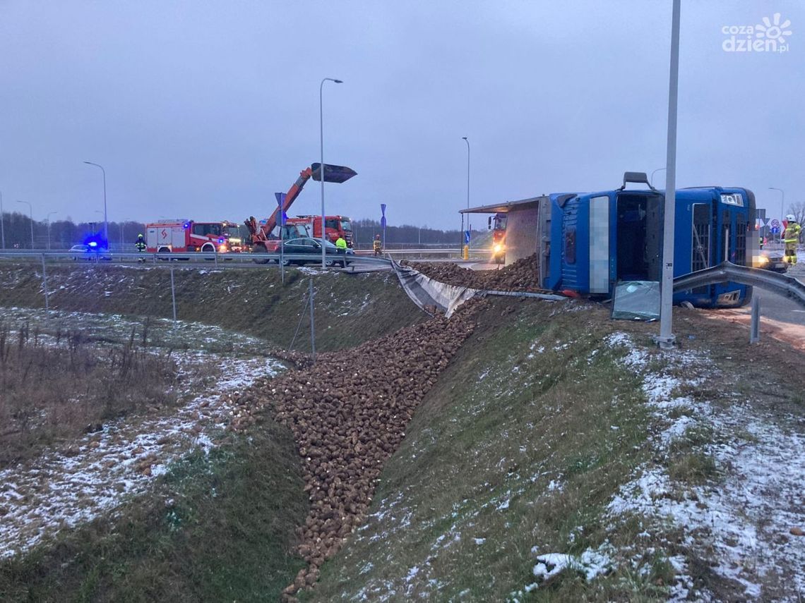 Buraki wstrzymały ruch na 60-tce. Dwugodzinna akcja ciechanowskich strażaków