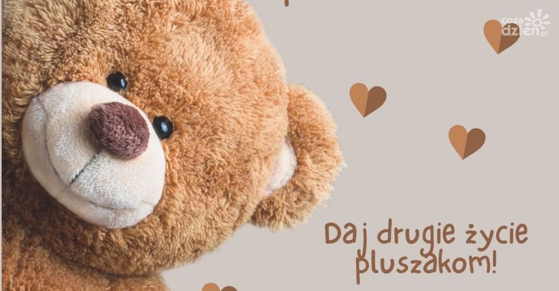 Charytatywna zbiórka pluszaków! Charytatywna zbiórka pluszaków!