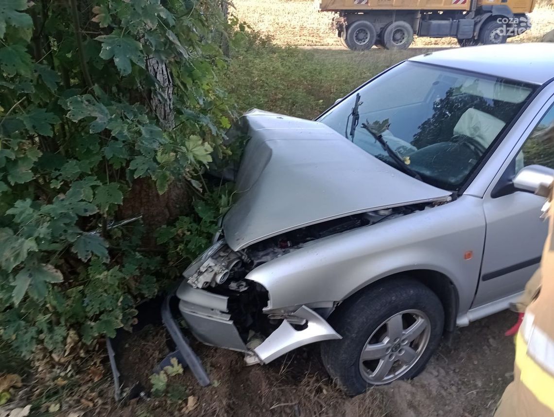 Chotum. Kierowca uderzył osobówką w drzewo, dziecko trafiło do szpitala