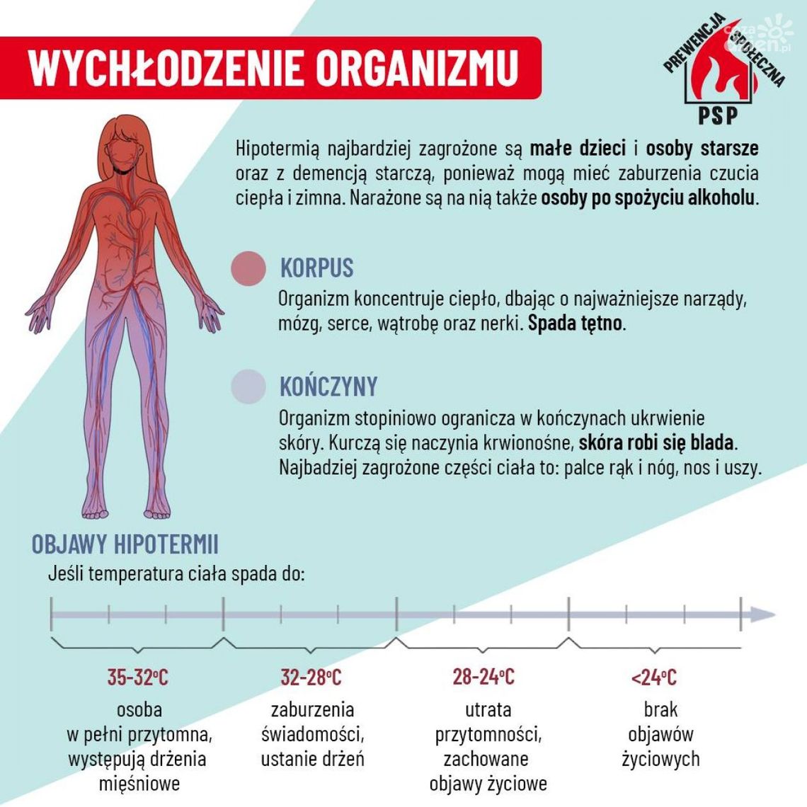 Chrońmy organizm przed wychłodzeniem