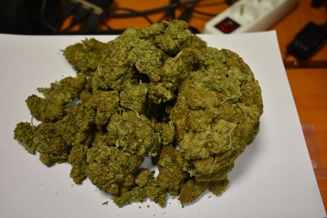 Zabezpieczona marihuana podczas przeszukania domu mieszkańca powiatu ciechanowskiego