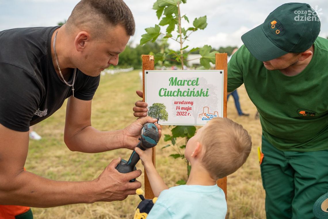Ciechanów. Kolejne drzewa nowo narodzonych dzieci w miejskim parku Ciechanów. Kolejne drzewa nowo narodzonych dzieci w miejskim parku
