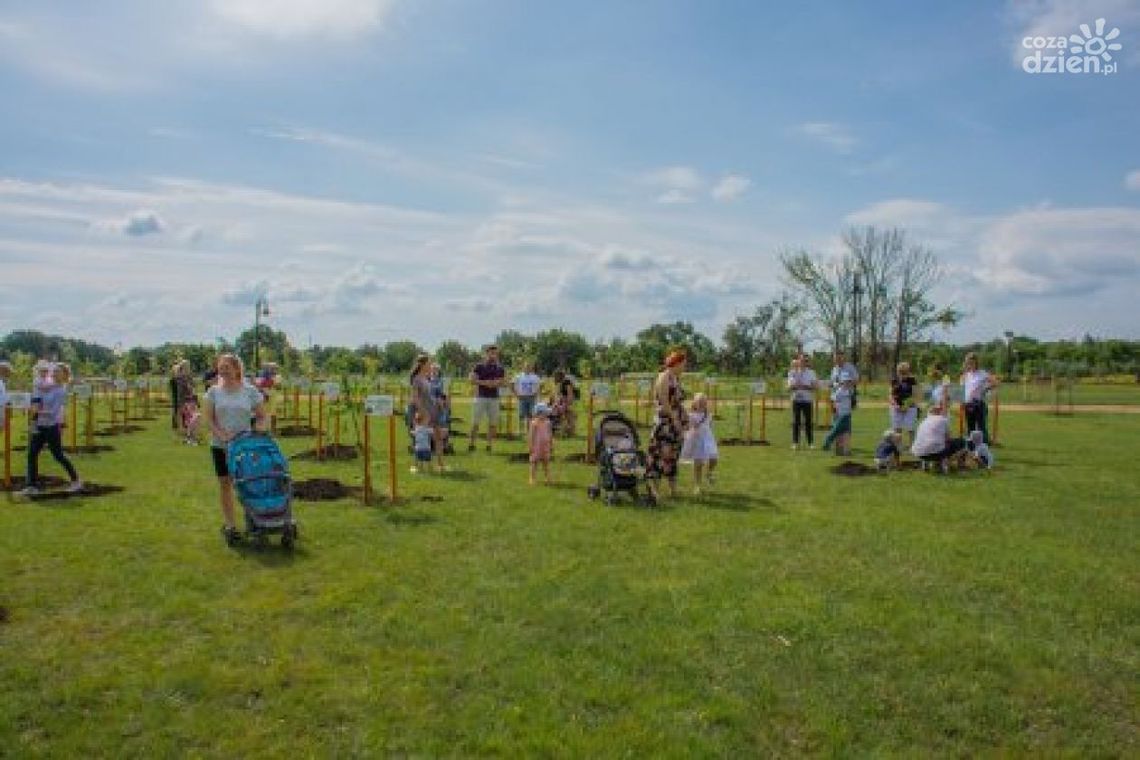 Ciechanów. Park przy ulicy Augustiańskiej gotowy!
