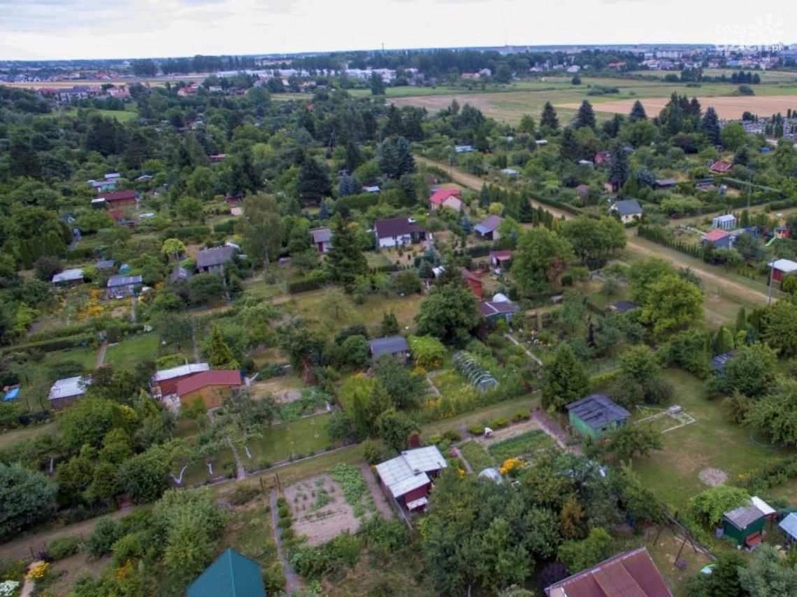 Ciechanów. Wsparcie dla ogrodów działkowych na inwestycje przyznane!