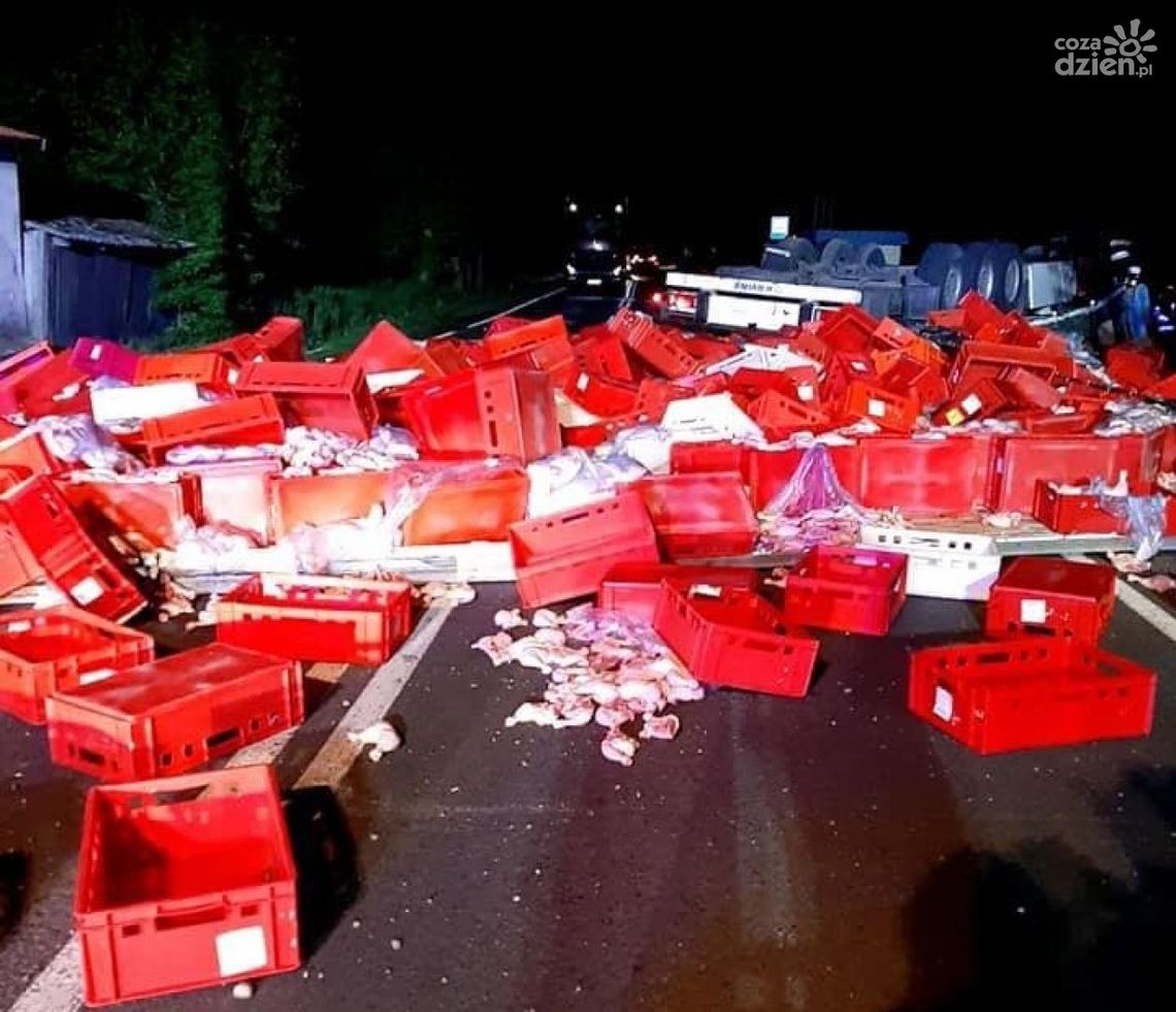 Ciemniewo. Tysiące kurczaków na drodze, ciężarówka w rowie (zdjęcia)