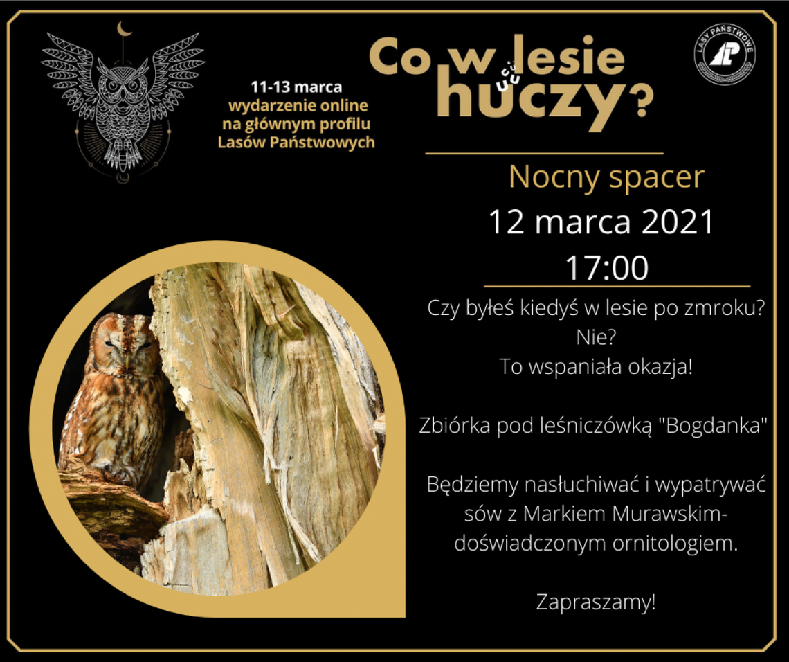 Co w lesie huczy? Nadleśnictwo Ciechanów zaprasza na nocy spacer
