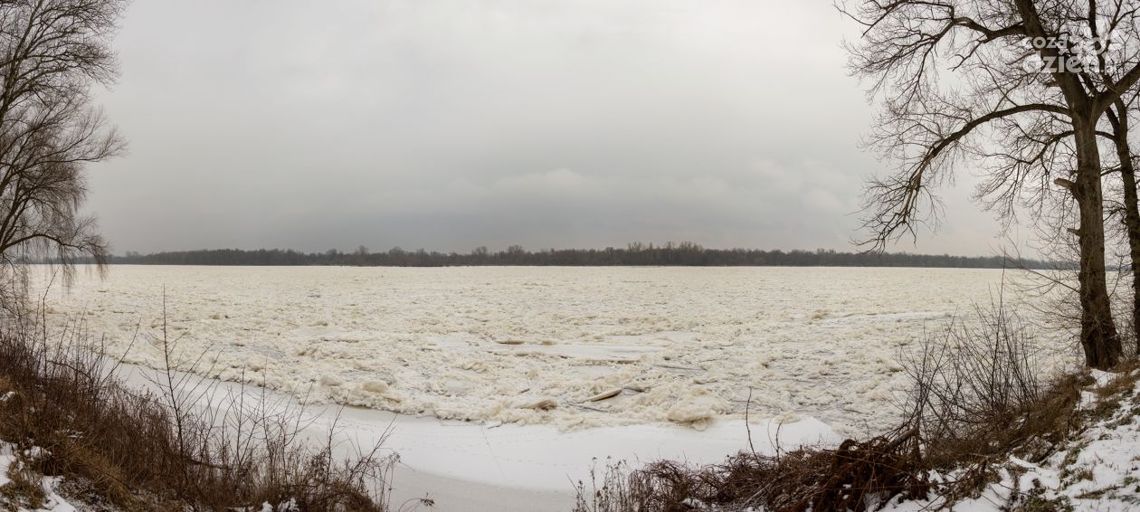 Czerwińsk. Sytuacja na Wiśle się stabilizuje