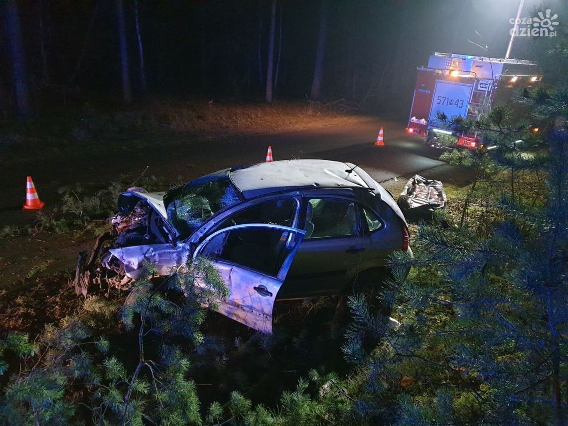 Dachował, uderzył w drzewa, zginął na miejscu