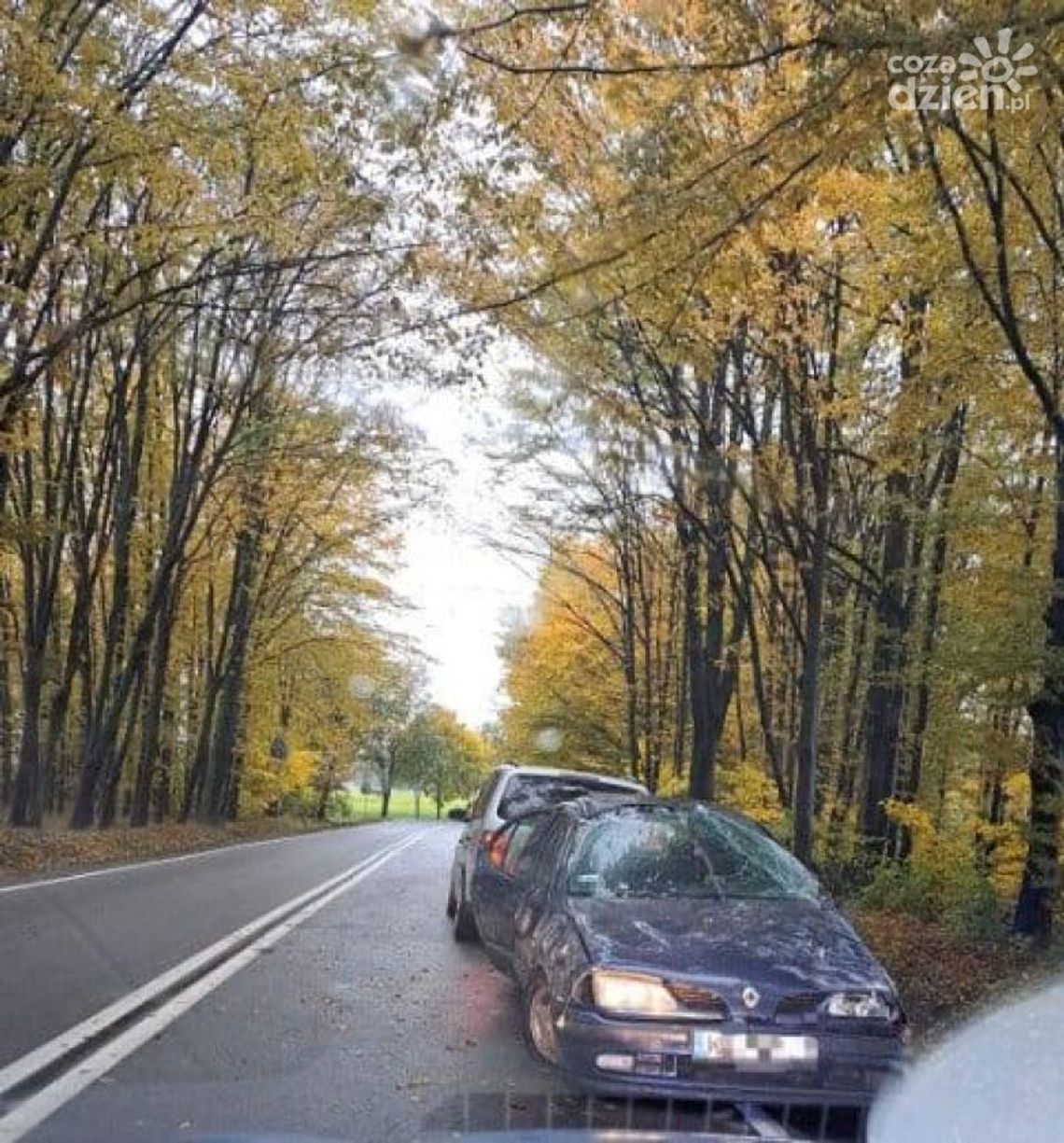 Dachowanie w gminie Grudusk. Kierowca trafił do szpitala
