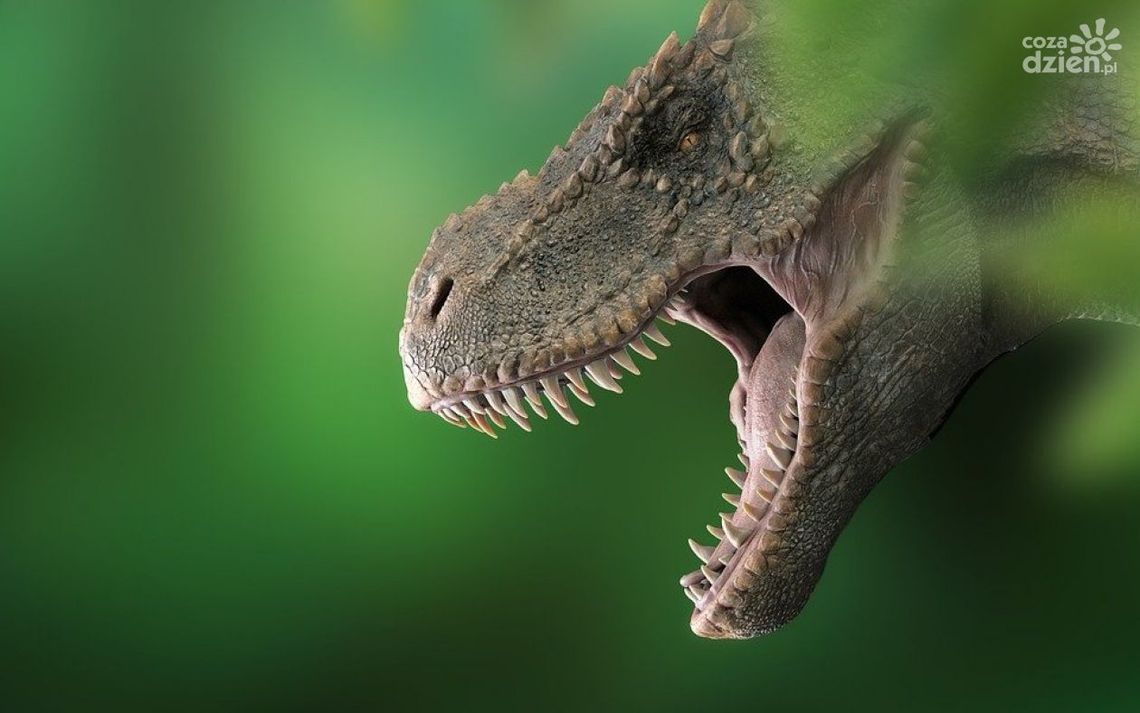 Dinozaury w Park Nauki Torus!