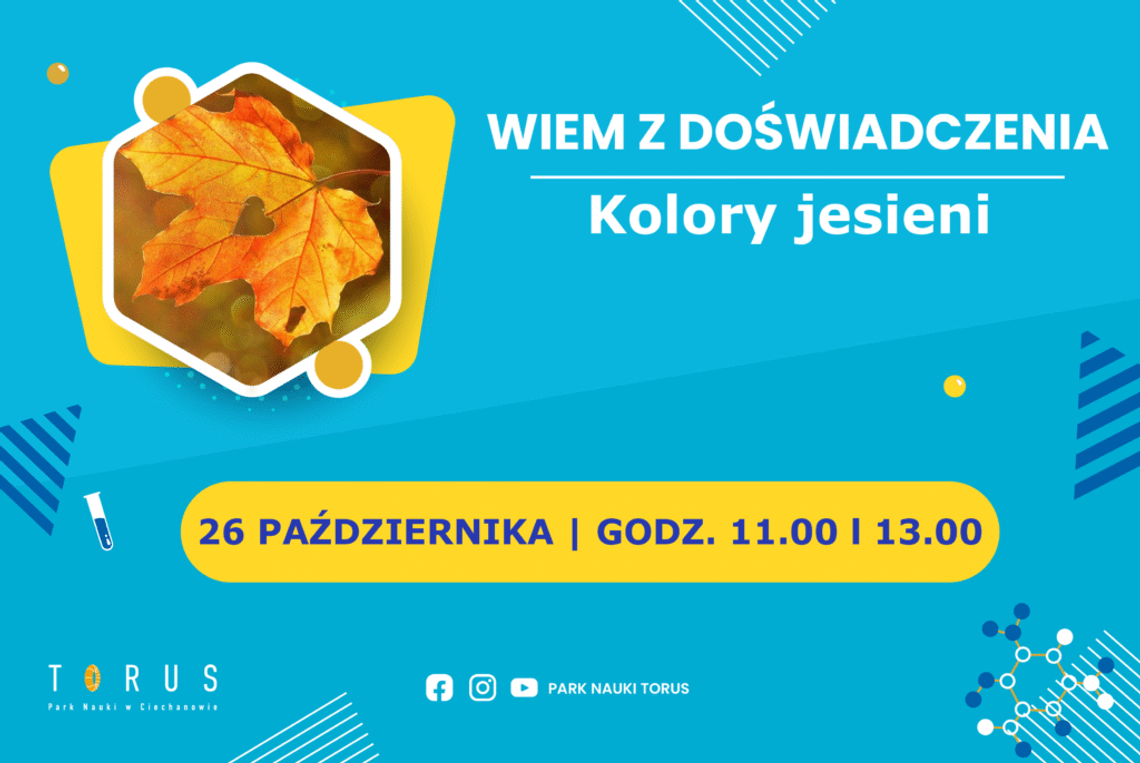 Dlaczego liście spadają? Dzieci znajdą odpowiedź na tych warsztatach