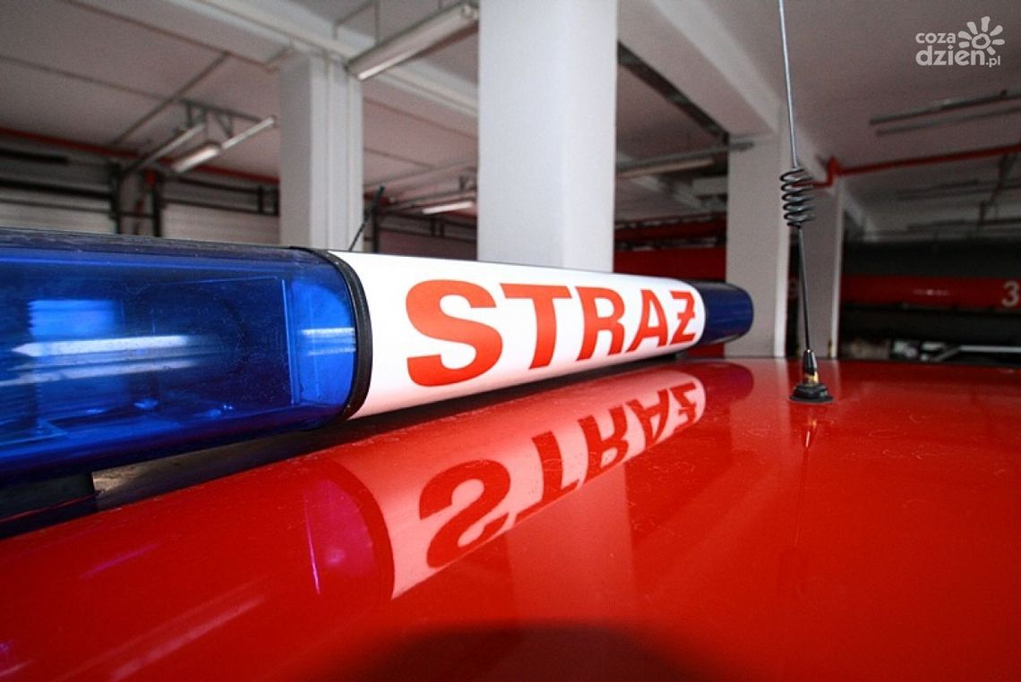 Dodatkowe środki dla OSP Dzbonie i Władysławowo Dodatkowe środki dla OSP Dzbonie i Władysławowo