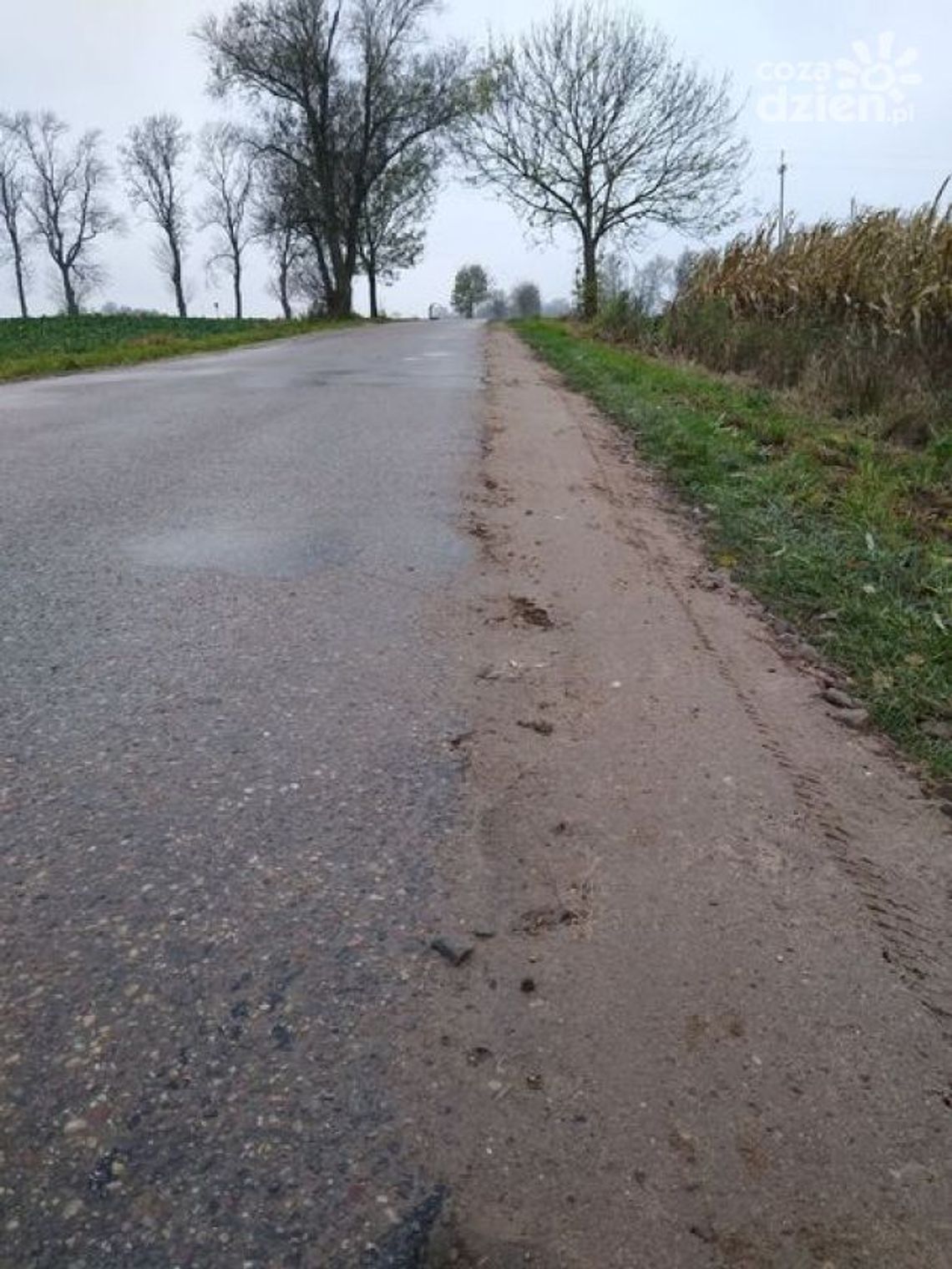 Droga Wróblewo - Pajewo – Gołymin - Ośrodek. Naprawa poboczy trwa!