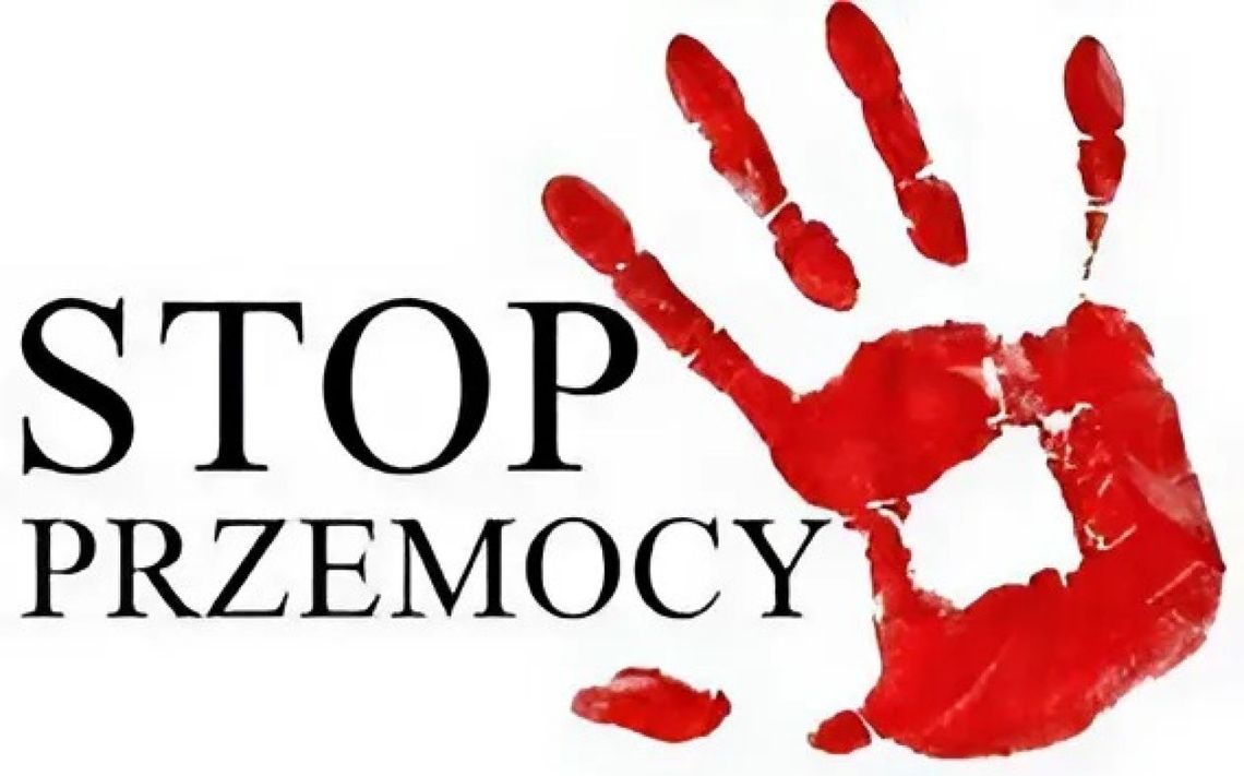 Dwóch mężczyzn z powiatu ciechanowskiego odpowie za przemoc domową