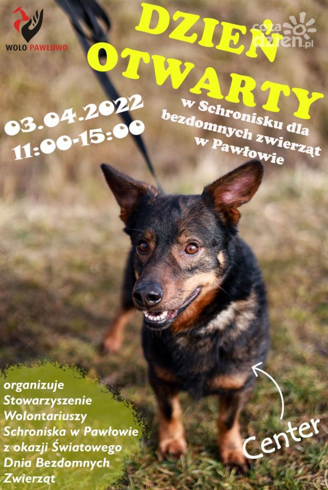 Dzień Otwarty. Przy okazji zawieźmy coś dla psiaków z Pawłowa