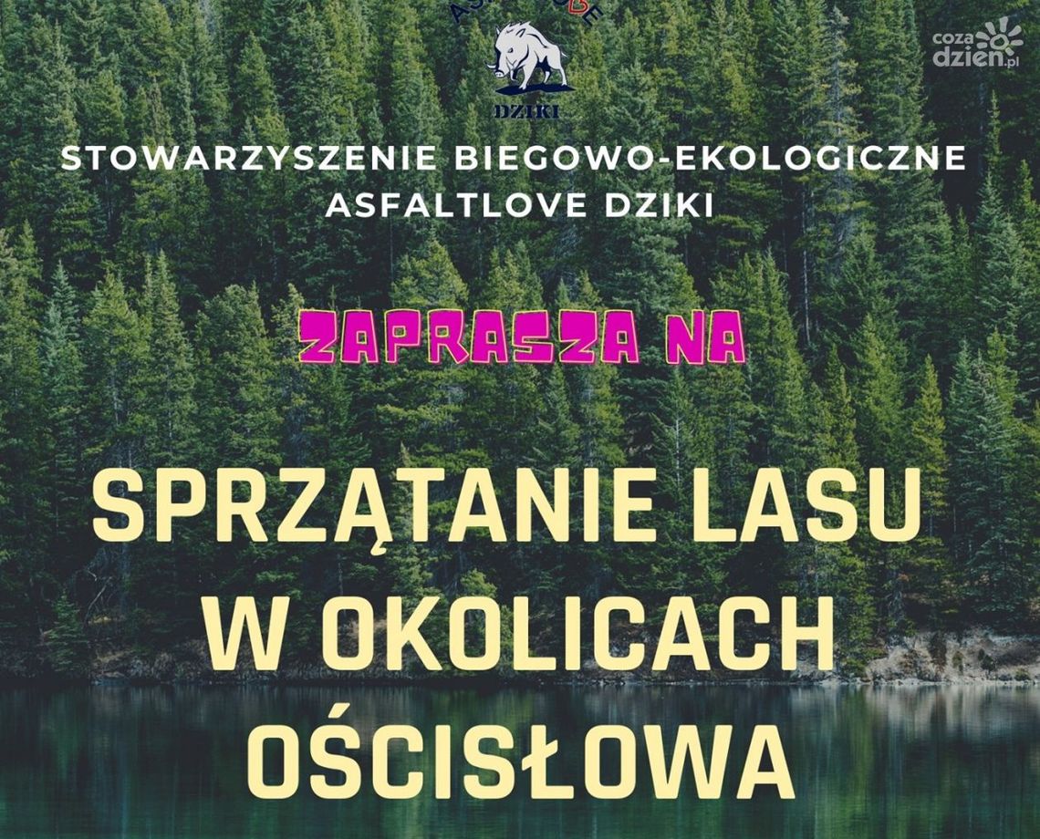 Dziki posprzątają las. Asfaltlove Dziki