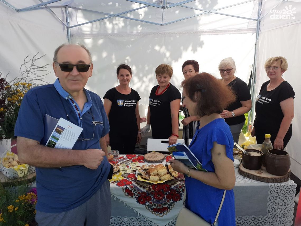 Dzisiaj Piknik w Opinogórze - MazoPiknik 2024