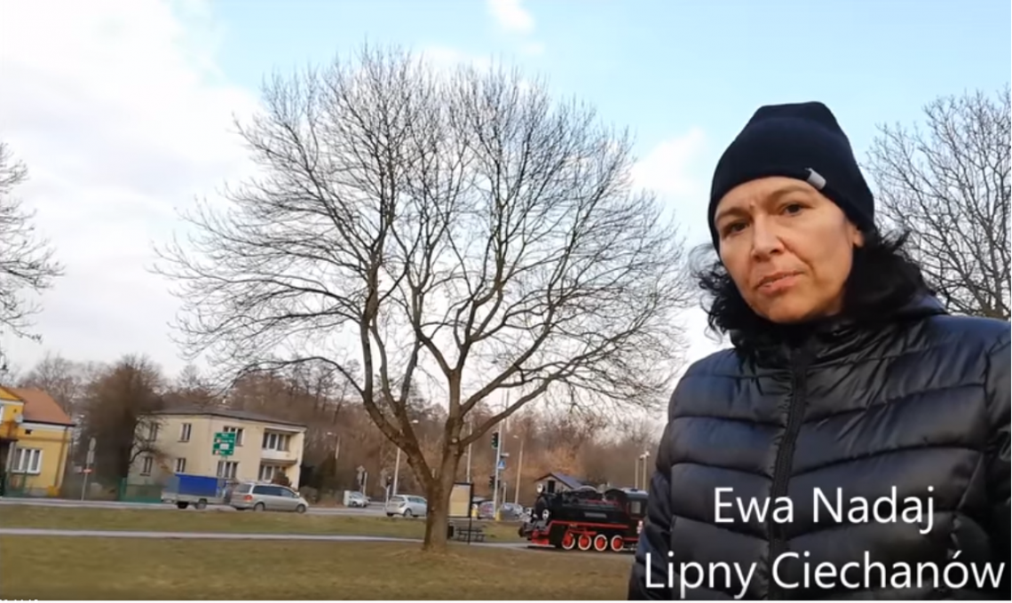 Ewa Nadaj: Tego pięknego jesionu pewnie nie uda się obronić przed siekierą