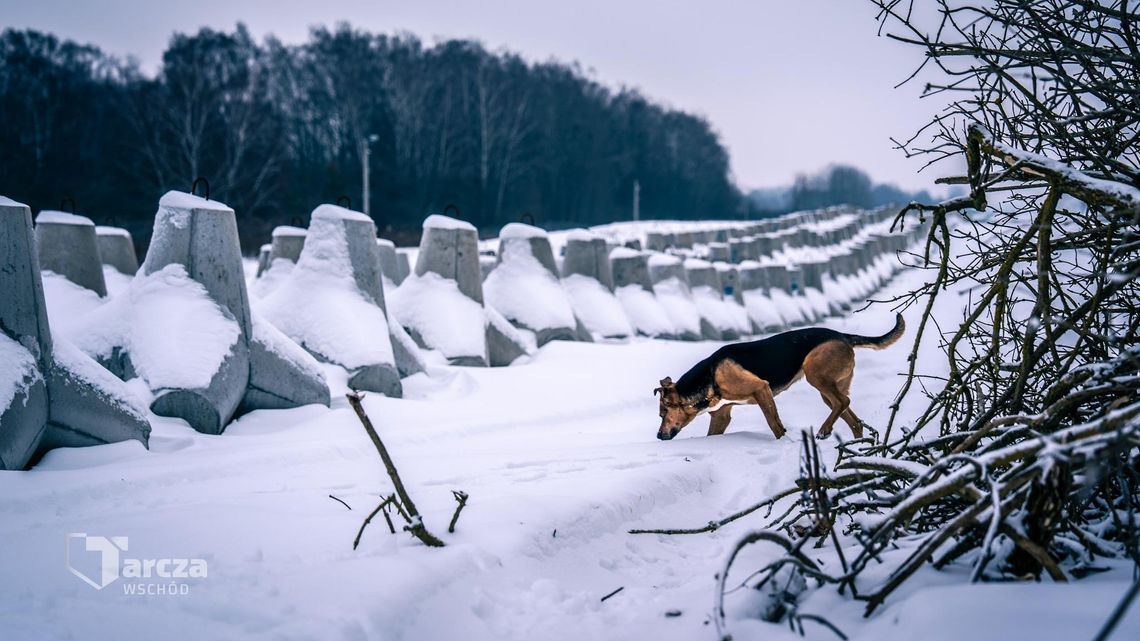 Fortyfikacje, nowoczesne technologie i wsparcie sojuszników. Sprawdzamy postępy prac przy Tarczy Wschód Umocnienia - Tarcza Wschód