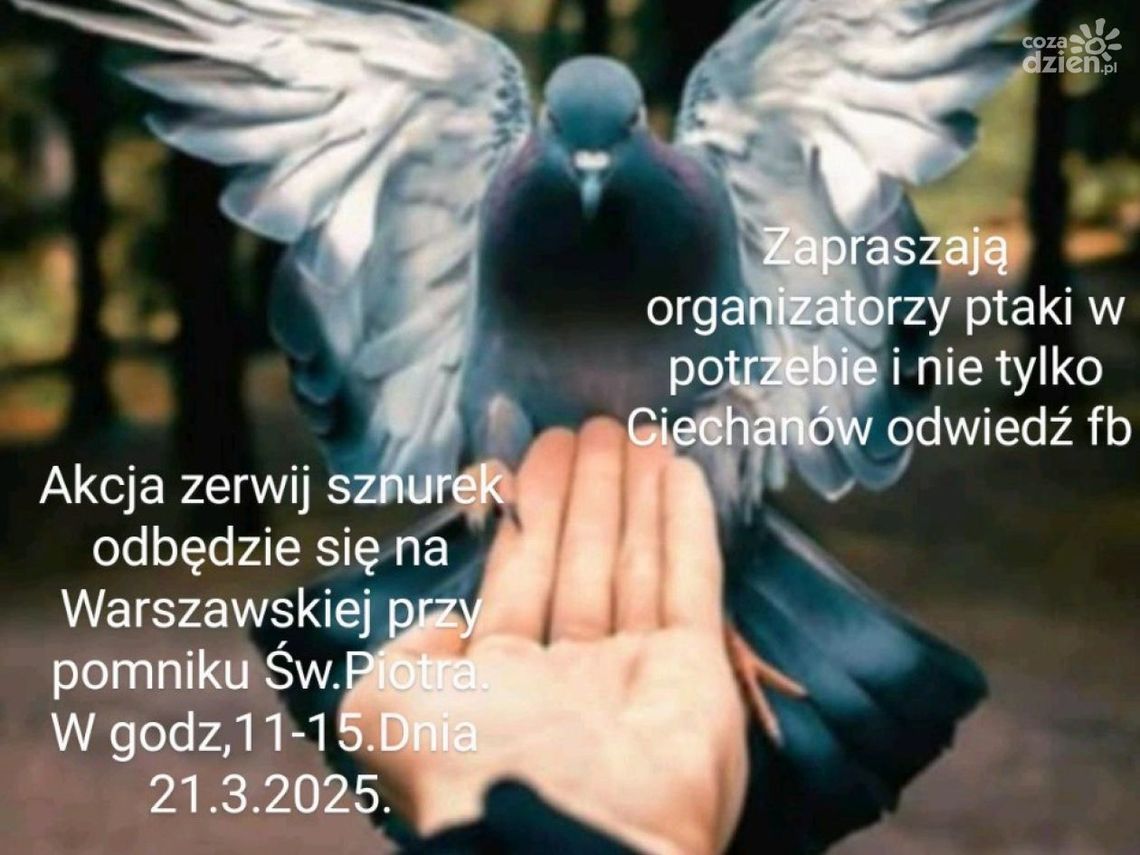 II edycja akcji Zerwij Sznurek