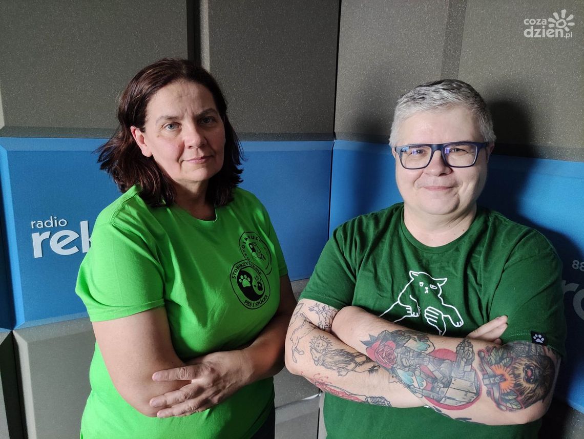 Ilona Kowalska: Kiedyś dostawałam za to mocno po uszach...