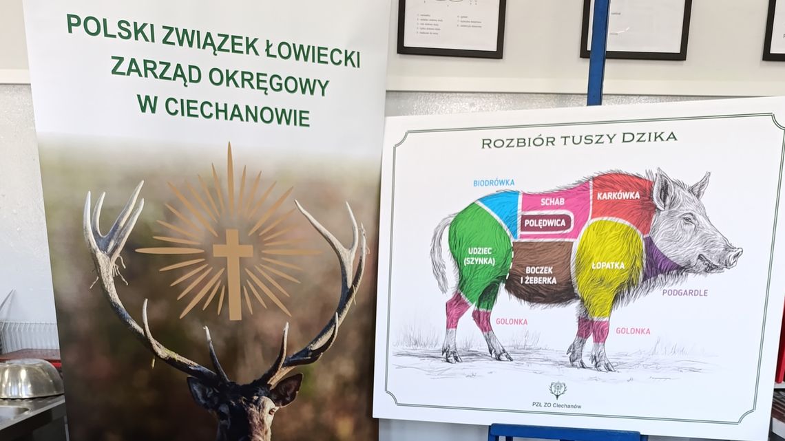 Tablica z rysunkiem dzika i oznaczeniem części tuszy obok planszy Zarządu Okręgowego Polskiego Związku Łowieckiego w Ciechanowie