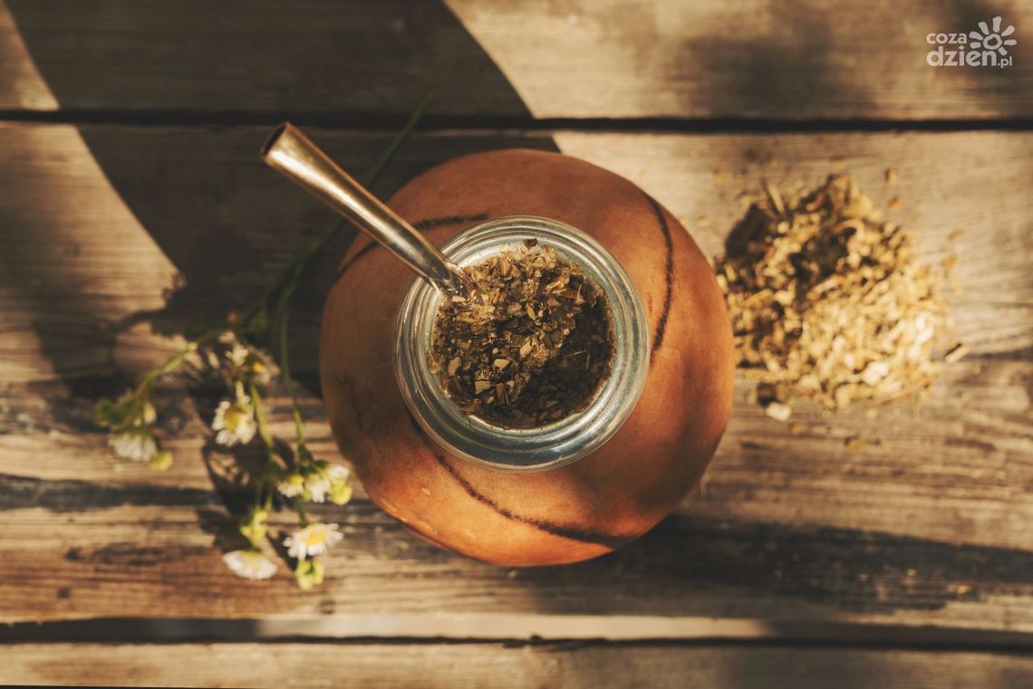 Jakie zalety ma napój yerba mate?