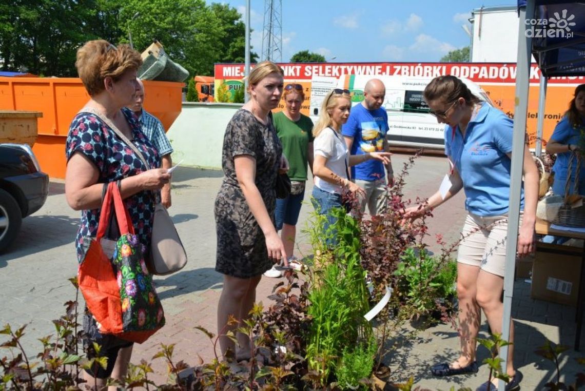 Kolejna eko-akcja w Ciechanowie. Miasto rozda zadzonki za elektrośmieci!