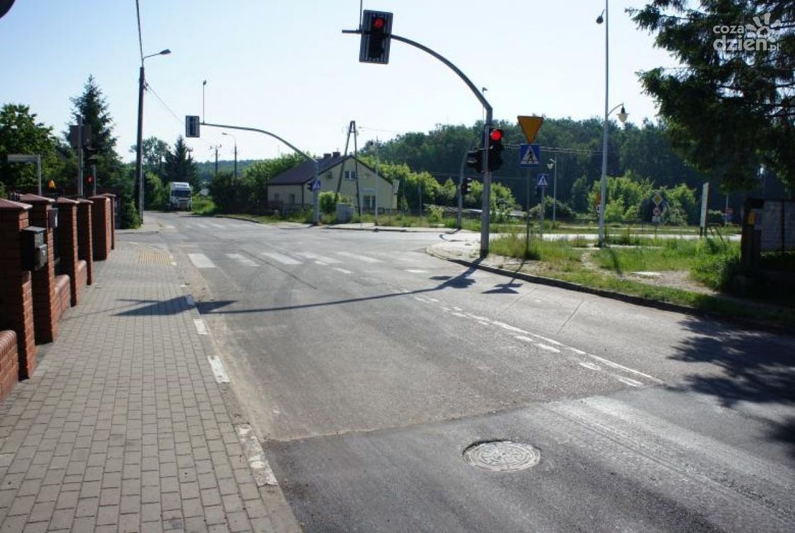 Kompleksowo przebudowana ul Studzieniec w Mławie poprowadzi do pokazowej Zagrody Żubrów