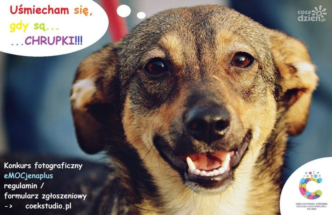 Konkurs fotograficzny "eMOCjenaplus"