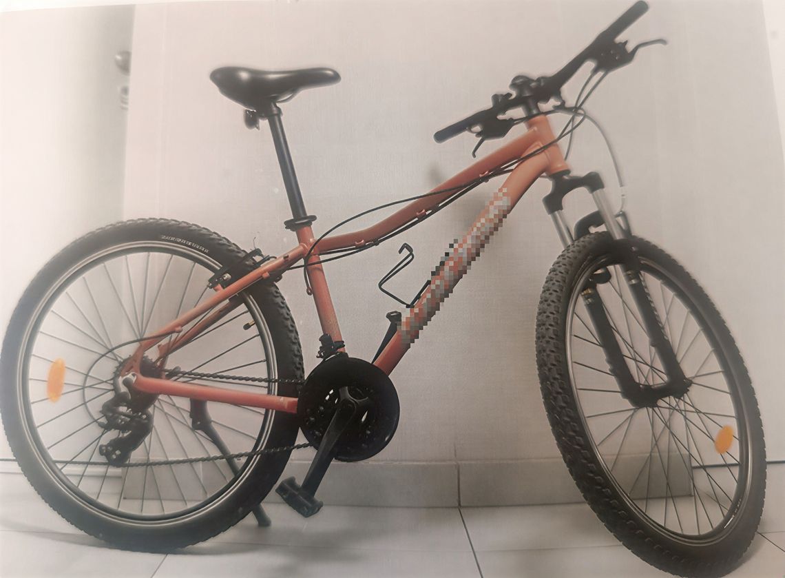 Kradzież roweru przy szkole w Pułtusku: sprawca miał 3 promile i usłyszał już zarzuty