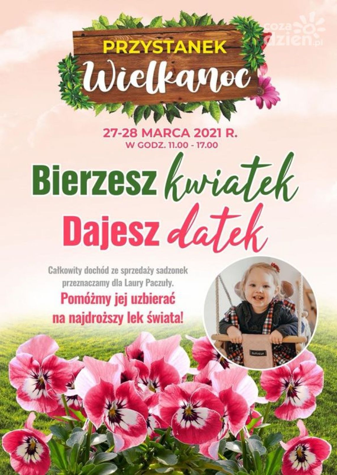 Kup kwiatek pomóż Laurze!