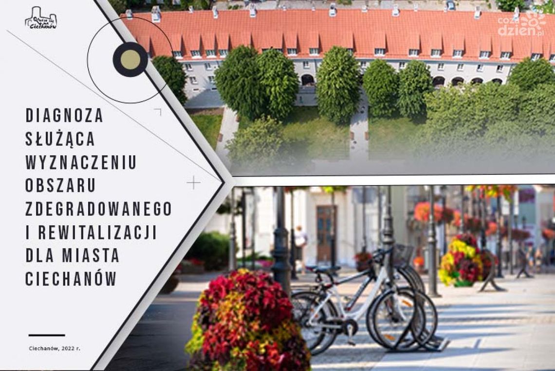 Mają na celu stworzenie szczegółowej diagnozy obszaru rewitalizacji