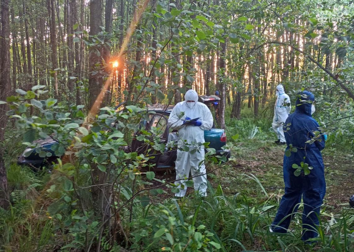 Makabryczne odkrycie w lesie. Ciała zaginionych mieszkańców Karolewa znaleziono w bagnie